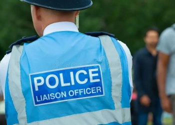 Qué es un ‘liaison officer’ y qué papel desempeña en un evento de alto nivel